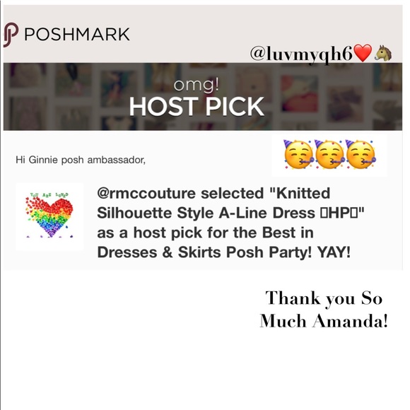 Knitted Silhouette Style A-Line Dress 🎉2X HP🎉 - Picture 5 of 5